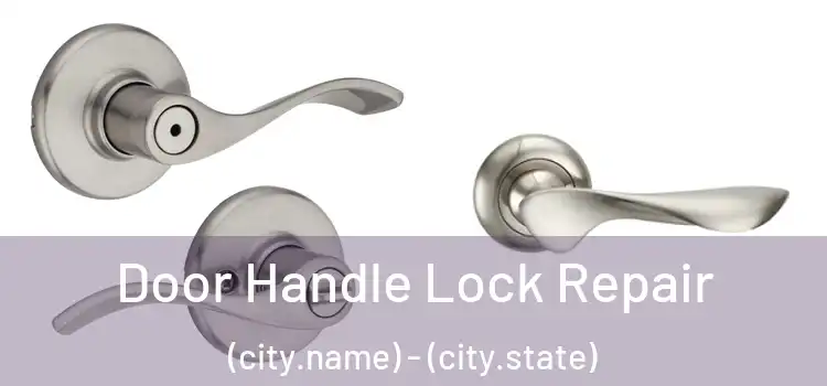 Door Handle Lock Repair (city.name) - (city.state)