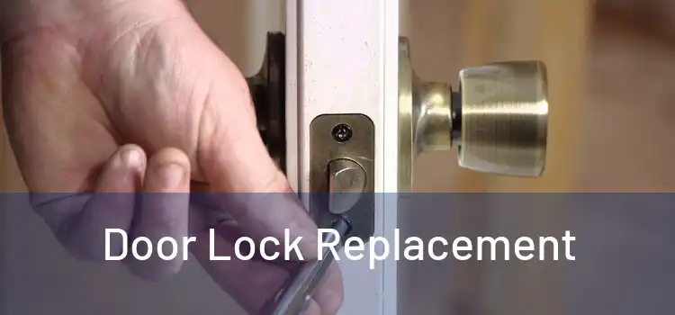 Door Lock Replacement